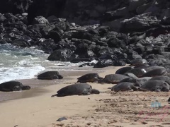 Amateur, Playa, Desnudo, Al aire libre, Pov, Coño, Afeitado, Flaco