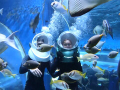 Amateur, Asiatique, Cul, Couple, Petite amie, Hard, Fait maison, Chatte