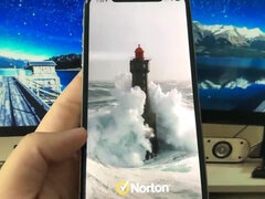 アナル, デカ尻, デカチン, 巨乳な, 黒人, ラティーナ, 自然山雀, オッパイの