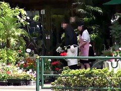 Petite Japanese flower shop girl hairy pussy banged