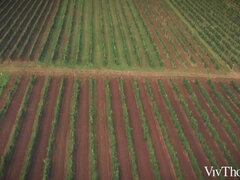 Summer Love - Alyssa Reece & Sarah Cute