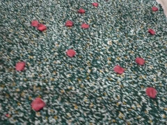 Grosser arsch, Grosse titten, Blasen, Vollbusig, Selbstgemacht, Pov, Schwestern, Titten