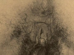 Bruder, Erotisch, Familie, Behaart, Muschi, Retro, Taboo, Vintage