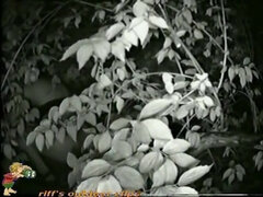 Enthousiasteling, Mooi, Classisch, Schattig, Natuurlijk, Tepels, Orgasme, Bekijker