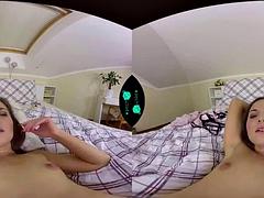 3 dimensionaal, Zwart, Pijpbeurt, Bruinharig, Zwart, Gezichtspunt, Realiteit