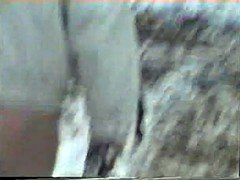 Amateur, Playa, Papá, Al aire libre