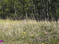 Amateur, Al aire libre, Juguetes
