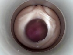 Leie, Schwul, Masturbation, Spielzeuge