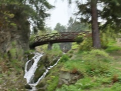 Closer to nature