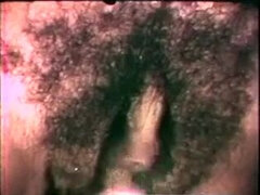 Belle grosse femme bgf, Noire, Brunette brune, Béant, Poilue, Interracial, Lesbienne, Lingerie