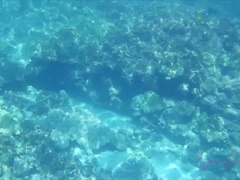 素人, ビキニ, 指いじり, 露出狂, 小柄, ハメ撮り, 公共, 濡れ