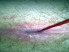 素人, お尻, 締まりの良い, おもちゃ