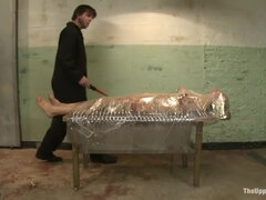 Kont, Pijpbeurt, Classisch, Schattig, Lul, Fetisj, Tepels, Tieten likken