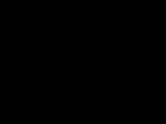 Sadomasochismus, Schwarz, Lesbisch, Gefesselt