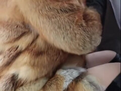 Amateur, Anal, Sucer une bite, Britannique, Éjaculation interne, Fétiche, Hard, Hd