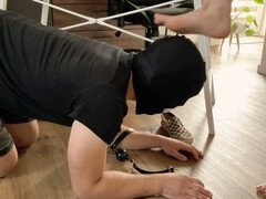 Ball-gagged puppet gets a whiff of Mistress's sweaty feet, stinky shoes, and smelly socks while being trampled!