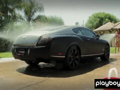 Grote mammen, Bruinharig, Rondborstig, Buiten, Klein, Kut duiken, Mager, Tieten likken