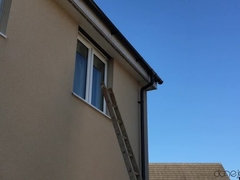 Sucer une bite, Tir de sperme, En levrette, Noir ébène, Faciale, Pov, Chatte, Fessée