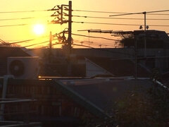 Asombroso, Asiático, Culo, Mamada, Sexo duro, Tímido, Adolescente, Tetas