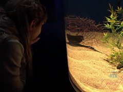 Amateur, Plage, Bikini, Blonde, De plein air, Public, Chatte, Rasée