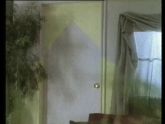 Tussi, Grosser schwanz, Blasen, Spermaladung, Europäisch, Aufs gesicht abspritzen, Hd, Vintage