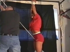 Enthousiasteling, Bondage discipline sadomasochisme, Bruinharig, Fetisj