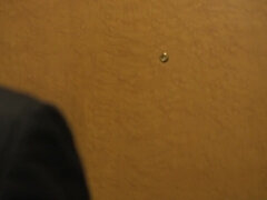 Pijpbeurt, Rondborstig, Mollig, Fetisj, Hardcore, Japaans, Rijpe lesbienne, Tieten likken