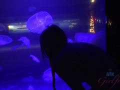 Любители, Пляж, Бикини, Блондинки, На природе, От первого лица, На публике, Сиськи