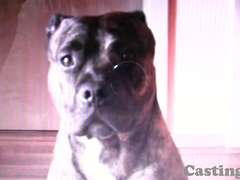 素人, 面接, Hd, オーガズム, ハメ撮り