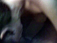 Anal, Bitch, Blowjob, Dick, Hardcore, Pornstars, Pov