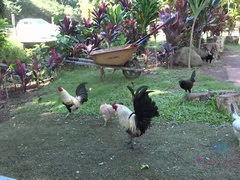 Любители, Блондинки, Оргазм, На природе, На публике, Киски, Сквиртинг, Влажная