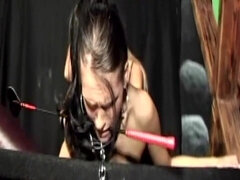 Bondage discipline sadomasochisme, Gebondenheid, Bruinharig, Ondergoed, Meesteres, Slaaf, Vastgebonden, Speelgoed