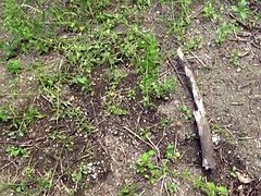 アジア人, 日本人, 公共