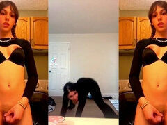Gros cul, Compilation, Transsexuelle