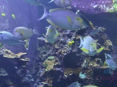 Mamada, Coche, Novia, Pov, Público, Coño, Flaco, Tetas