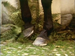 Culo, Chica, Verga grande, Morena, Alemán, Sexo duro, Coño, Clasico