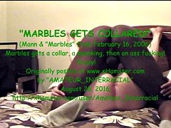 Amateur, Anal, Morena, Interracial, Nalgadas