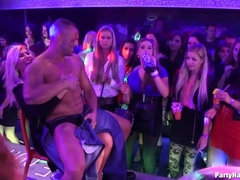 Enthousiasteling, Zwart, Aangekleed, Gek, Hondjeshouding, Vrouw, Ondergoed, Swinger