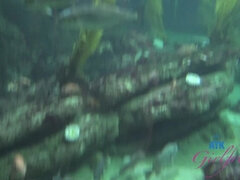 You have a full day with Paris, and fuck her ass.