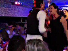 Enthousiasteling, Europees, Groep, Handbeurt, Feest, Openbaar, Realiteit