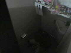 Enthousiasteling, Aziatisch, Schattig, Toilet