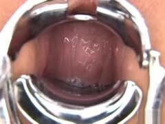 Anal, Asiatique, Sucer une bite, Japonaise, Suçant