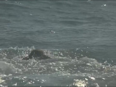 Mamada, Polla, Erótico, Penetracion con puños, Maduro, Estrella porno, Pelirrojo, Tetas