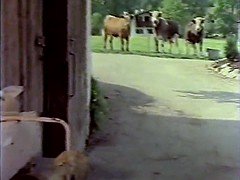 素人, 緊縛, ヴィンテージ