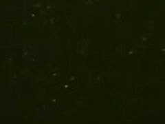 美女, 古典, オージー, ティーン, 三人, ヴィンテージ