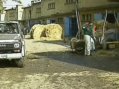 Enthousiasteling, Anaal, Compilatie, Sperma in gezicht, Vuisten, Hardcore, Kut duiken, Slet