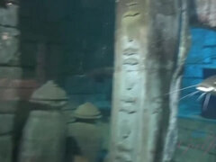 素人, 茶髪の, Hd, ハメ撮り, シャワー