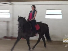 Sucer une bite, En levrette, Marrant, Douche, Plan cul à trois