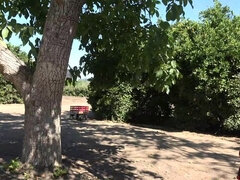 Rubia, Vestido, Granja, Despelote, Al aire libre, Pov, Coño, Afeitado
