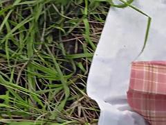 69, 美女, 茶髪の, レズビアン, なめる